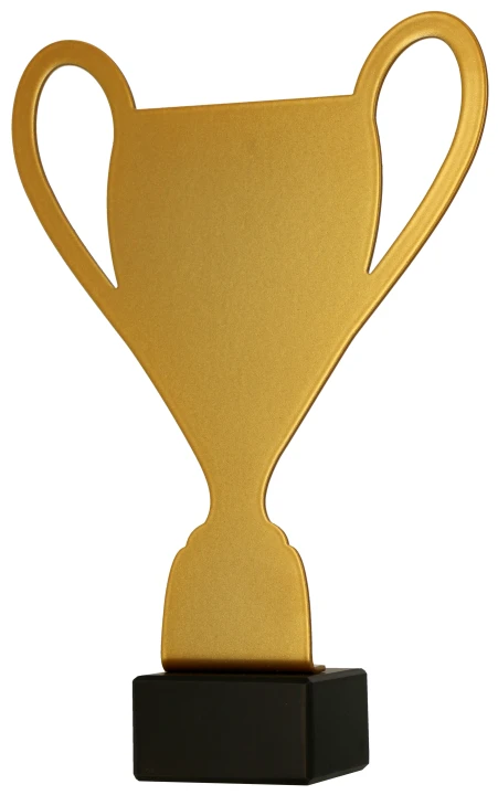 ML-CUP_1_11zon.webp