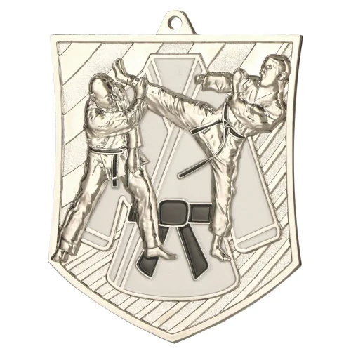 Medal Karate / Judo - MD8054