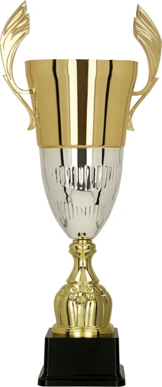 3105-N-copy_1_11zon.webp