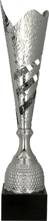 3161_przód_12.webp
