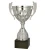 4234A_1.webp