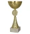 8485_1.webp
